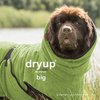 Dryup cape Big